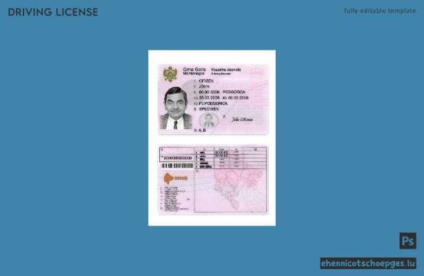 Beispiel für einen montenegrinischen Führerschein